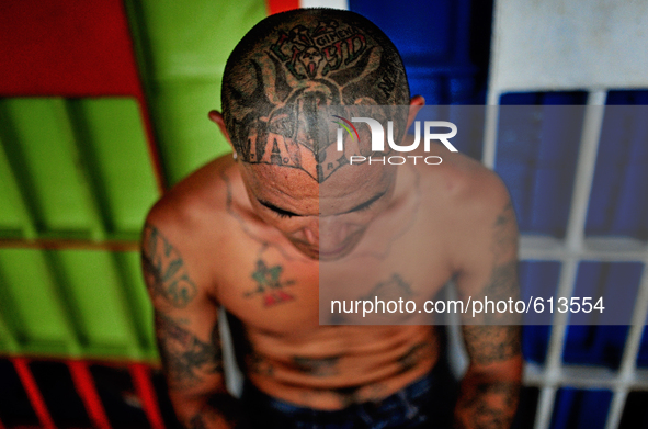 Go to http://nurphoto.com/reportages/ to see more - MARCO TORAL / 13 years in jail for drug involvement, Michael made a tattoo of the jail c...