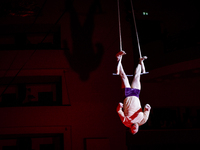 Christmas circus show at the Coliseu do Porto, in times of the 19-pandemic pandemic, at a time when culture is experiencing great difficulti...