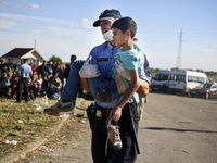 A Croatian border policeman carries a migrant boy to the transfer camp in Opatovac near border crossing point between Serbia and Croatia. Se...