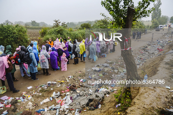 Refugees arrive at the Serbia-Croatia border, between Berkasovo and Bapska on September 26, 2015. A record number of refugees from the Middl...