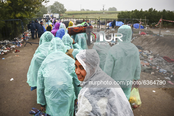 Refugees arrive at the Serbia-Croatia border, between Berkasovo and Bapska on September 26, 2015. A record number of refugees from the Middl...