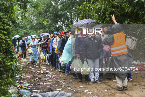 Refugees arrive at the Serbia-Croatia border, between Berkasovo and Bapska on September 26, 2015. A record number of refugees from the Middl...