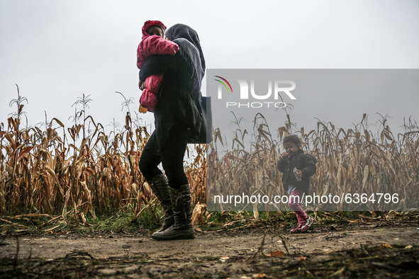 Refugees arrive at the Serbia-Croatia border, between Berkasovo and Bapska on September 26, 2015. A record number of refugees from the Middl...