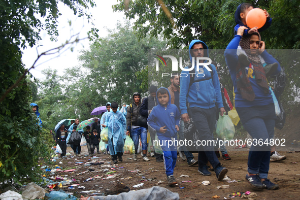 Refugees arrive at the Serbia-Croatia border, between Berkasovo and Bapska on September 26, 2015. A record number of refugees from the Middl...