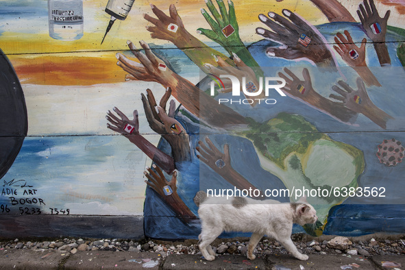 A cat passing by the mural in Tangerang, Banten, Indonesia, on 26 January 2021. Indonesia reach out to 1 million of Covid19 positive case wi...