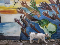 A cat passing by the mural in Tangerang, Banten, Indonesia, on 26 January 2021. Indonesia reach out to 1 million of Covid19 positive case wi...