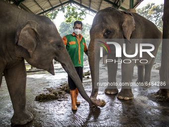 Mr. JUNAEDI care taker of the elephant at the zoo posed for a picture. During pandemic covid19 Zoo Animal Garden at South Jakarta close down...