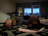 Ifrah Ahmed, a Somali-Irish living in Dublin, during Maghrib, the fourth of the five required daily prayers, inside her apartment on the sec...