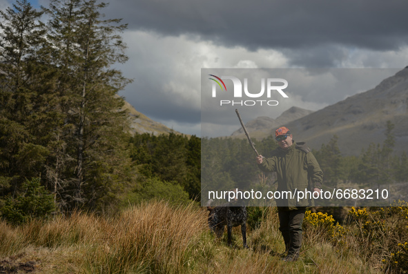 Father Krzysztof Sikora walks his dog 'Rambo' near Barnanoraun townland, near the Owenglin River.

Geographically, Roundstone parish is cons...