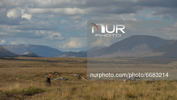 Father Krzysztof Sikora walks his dog 'Rambo' near to the Gowla Fishery, situated in central Connemara, among one of the most beautiful and...