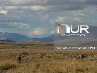 Father Krzysztof Sikora walks his dog 'Rambo' near to the Gowla Fishery, situated in central Connemara, among one of the most beautiful and...