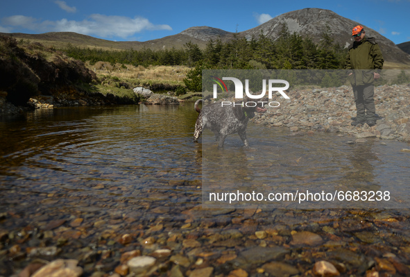 Father Krzysztof Sikora walks his dog 'Rambo' near Barnanoraun townland, along the Owenglin River.

Geographically, Roundstone parish is con...