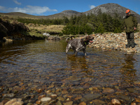 Father Krzysztof Sikora walks his dog 'Rambo' near Barnanoraun townland, along the Owenglin River.

Geographically, Roundstone parish is con...