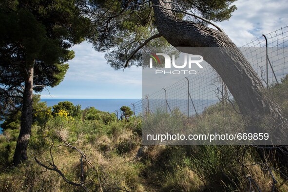 Border Italy / France at the "trail of death",  on June 24, 2015. The situation of migrants camped in Ventimiglia has not changed except for...