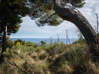 Border Italy / France at the "trail of death",  on June 24, 2015. The situation of migrants camped in Ventimiglia has not changed except for...