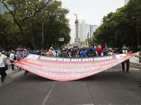 Members of the National Coordinator of Education Workers (CENTE by its acronym in Spanish) from various states of the country, marched in Me...