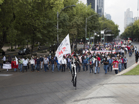 Members of the National Coordinator of Education Workers (CENTE by its acronym in Spanish) from various states of the country, marched in Me...