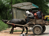 Children working in an informal sector ride a bullock cart as they return from their site after day's shift, ahead of the World Day Against...