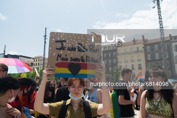 On June 19th took place the annual Pride Parade in Clermont-Ferrand, France, under a stifling heat. The event gathered tons of people. The c...