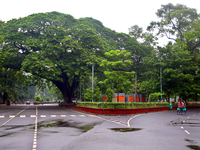 On July 1, 2021 marks the 100th anniversary of the inception of the University of Dhaka. The establishment of a university in the provincial...