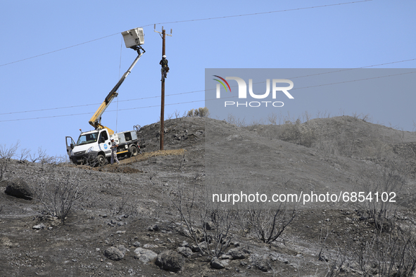 Electricity power engineers at work, in the burned Limassol mountain region near Eptagonia village. Cyprus, Monday, July 5, 2021. The wildfi...