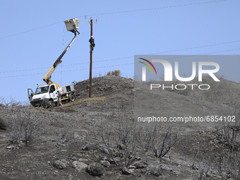 Electricity power engineers at work, in the burned Limassol mountain region near Eptagonia village. Cyprus, Monday, July 5, 2021. The wildfi...