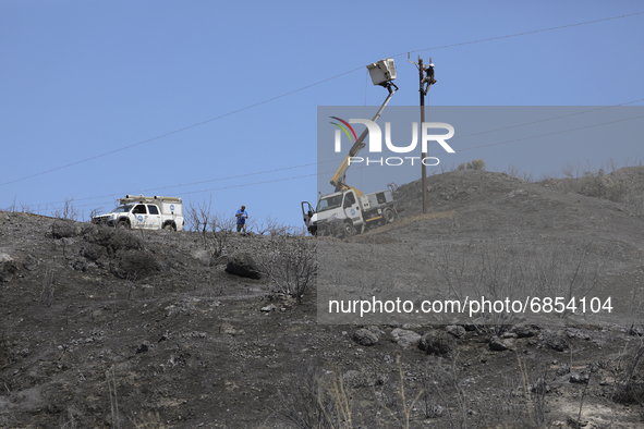 Electricity power engineers at work, in the burned Limassol mountain region near Eptagonia village. Cyprus, Monday, July 5, 2021. The wildfi...