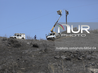 Electricity power engineers at work, in the burned Limassol mountain region near Eptagonia village. Cyprus, Monday, July 5, 2021. The wildfi...