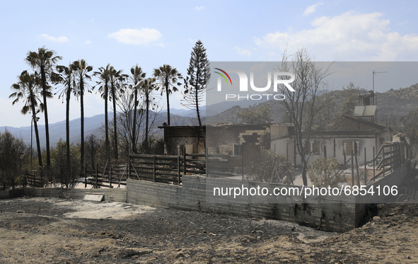 A burned house in Eptagonia village, in Limassol mountain region. Cyprus, Monday, July 5, 2021. The wildfires that have been raging since 03...