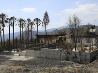 A burned house in Eptagonia village, in Limassol mountain region. Cyprus, Monday, July 5, 2021. The wildfires that have been raging since 03...