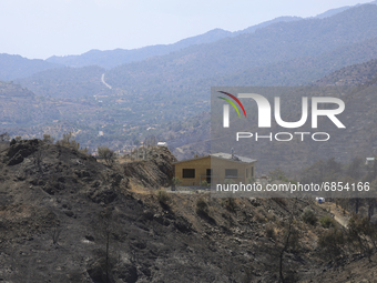 Local residents are repairing a roof after a fire near the village of Arakapas, in Limassol mountain region. Cyprus, Monday 5 July 2021. The...