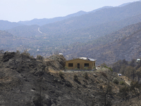 Local residents are repairing a roof after a fire near the village of Arakapas, in Limassol mountain region. Cyprus, Monday 5 July 2021. The...