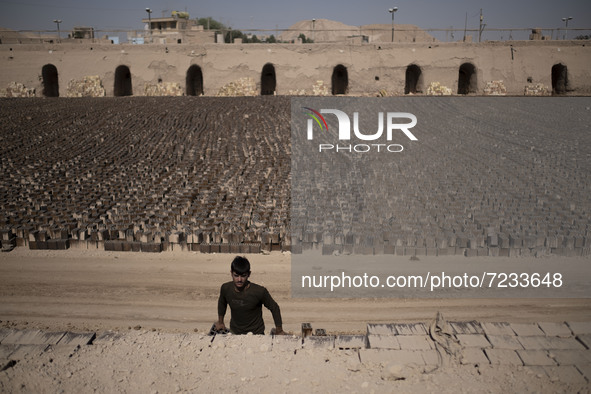 An Afghan refugee labor piles up bricks after removing them from a kiln in a brick factory, in the Borkhar area in the west of the city of I...