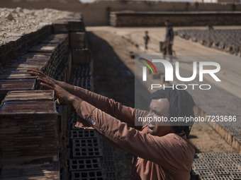 An Afghan refugee labor piles up bricks after removing them from a kiln in a brick factory, in the Borkhar area in the west of the city of I...