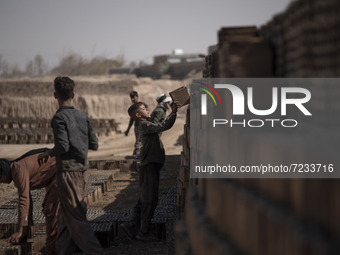 A young Afghan refugee labor piles up bricks after removing them from a kiln in a brick factory, in the Borkhar area in the west of the city...