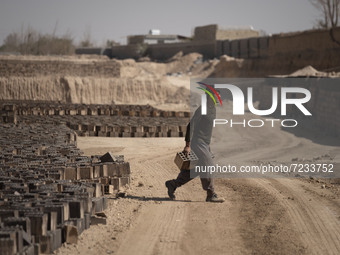 An Afghan refugee labor carries newly bricks to pile up after removing them from a kiln in a brick factory, in the Borkhar area in the west...