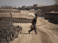 An Afghan refugee labor carries newly bricks to pile up after removing them from a kiln in a brick factory, in the Borkhar area in the west...