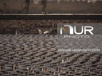 A young Afghan refugee labor pushes a cart past newly made bricks while working in a brick factory, in the Borkhar area in the west of the c...