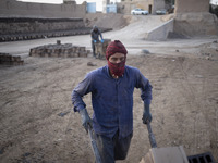 An Afghan refugee labor carrying newly bricks to a kiln in a brick factory, in the Borkhar area in the west of the city of Isfahan 439Km (27...