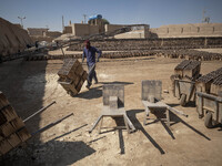 An Afghan refugee labor carrying newly bricks to a kiln in a brick factory, in the Borkhar area in the west of the city of Isfahan 439Km (27...