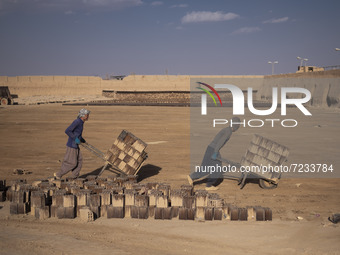 Two Afghan refugee laborers carrying newly bricks to a kiln in a brick factory, in the Borkhar area in the west of the city of Isfahan 439Km...