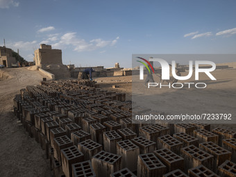 An Afghan refugee labor carrying newly bricks to a kiln in a brick factory, in the Borkhar area in the west of the city of Isfahan 439Km (27...