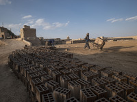 An Afghan refugee labor carrying newly bricks to a kiln in a brick factory, in the Borkhar area in the west of the city of Isfahan 439Km (27...