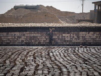 A young Afghan refugee labor looks on as he stands in a brick factory, in the Borkhar area in the west of the city of Isfahan 439Km (273 Mil...