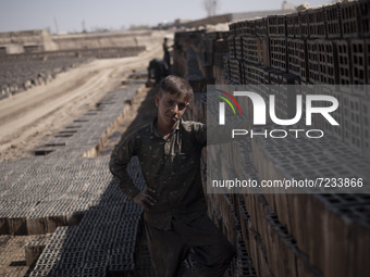 A young Afghan refugee labor looks on as he poses for a photograph while standing next to newly bricks in a brick factory, in the Borkhar ar...