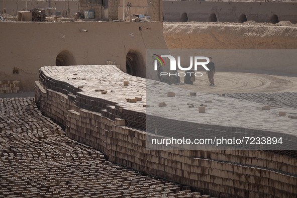 An Afghan refugee labor walks past newly bricks while working in a brick factory in the Borkhar area in the west of the city of Isfahan 439K...