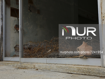 A mannequin stands in an abandoned shop building, fenced off by the Turkish military since 1974, in the abandoned coastal area of Varosha, a...