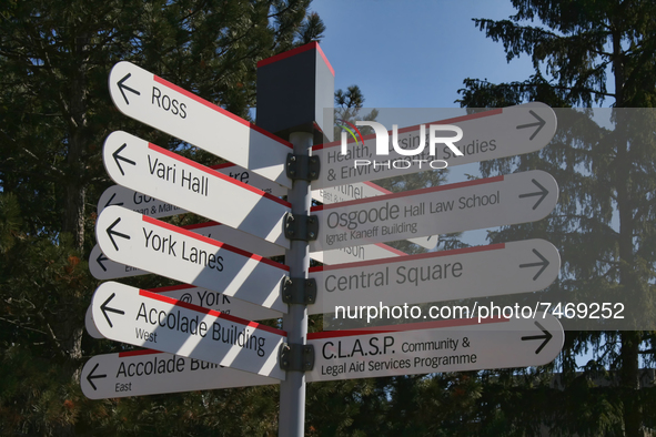 Signs at York University in Toronto, Ontario, Canada. York University is Ontario's second-largest graduate school and Canada's third-largest...