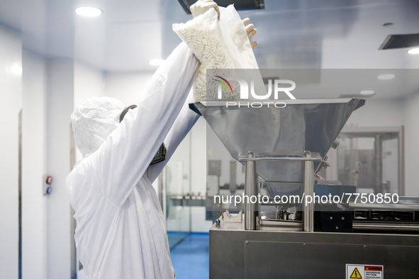 Laboratory technicians wearing full face masks and protective suits work to produce molnupiravir, the first tablet drug used to treat corona...