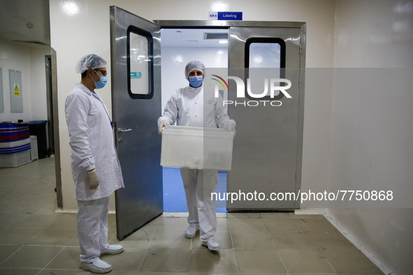 Laboratory technicians wearing full face masks and protective suits work to produce molnupiravir, the first tablet drug used to treat corona...